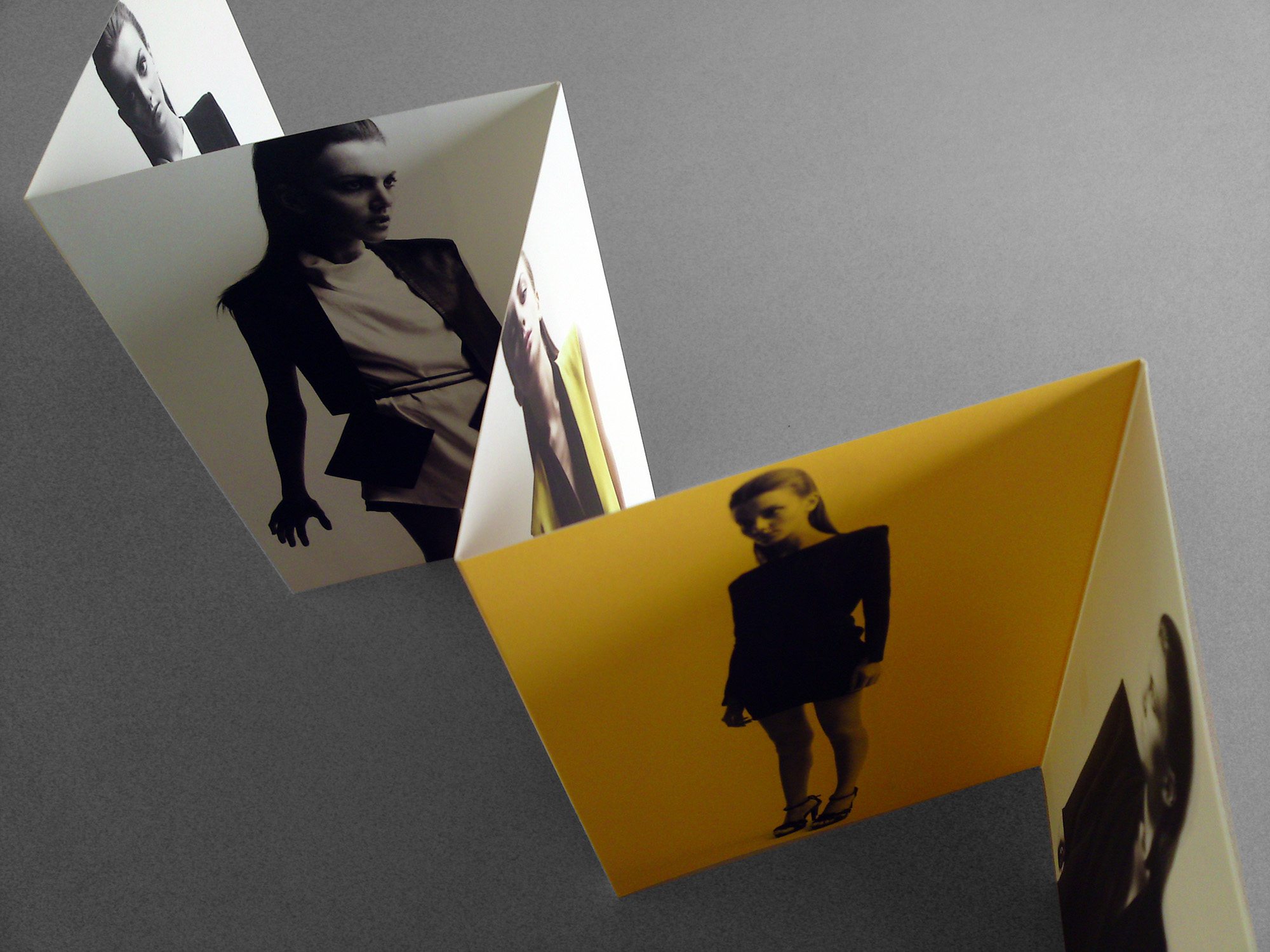 WAYNE Promotional Collateral