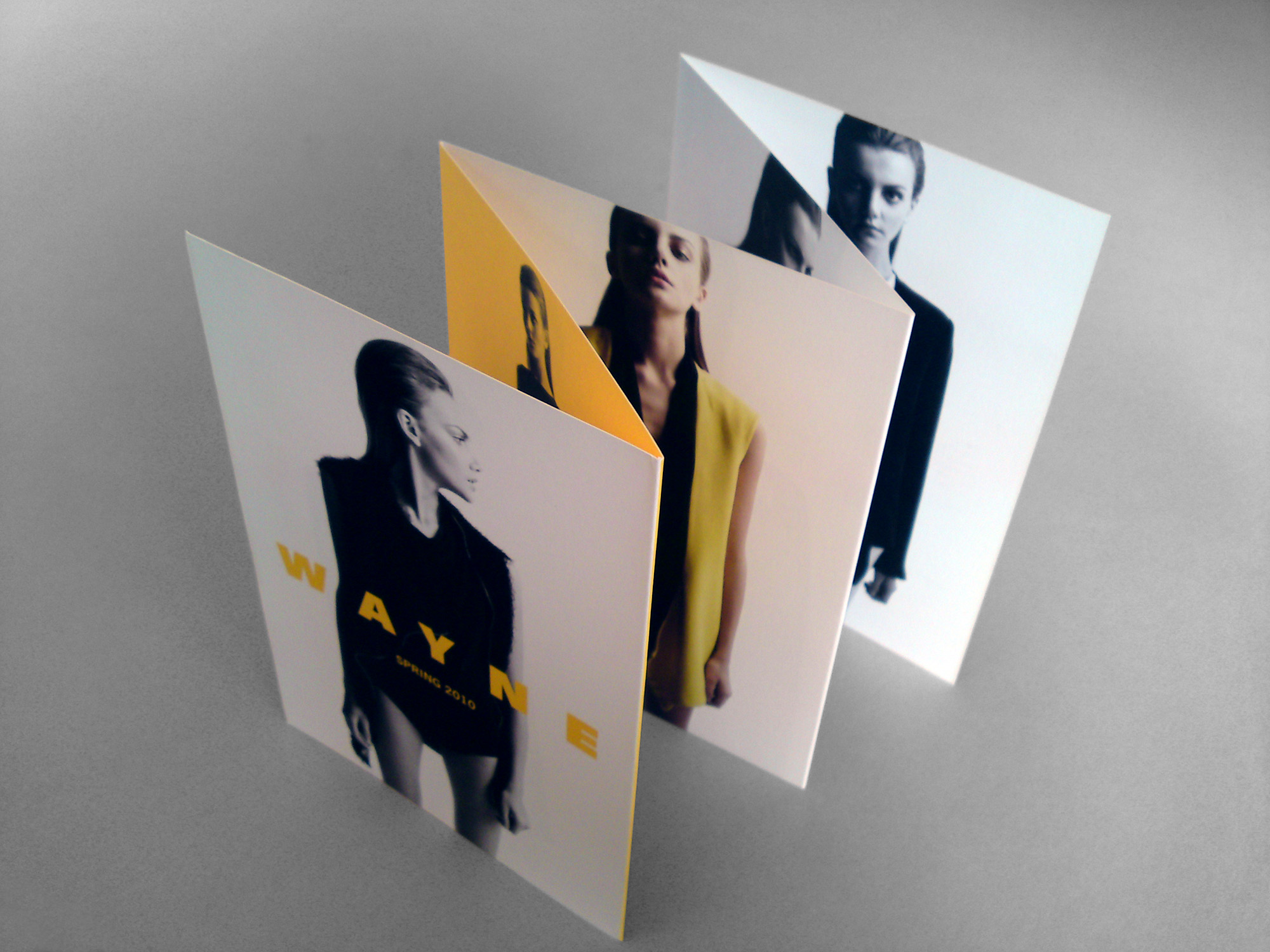 WAYNE Promotional Collateral