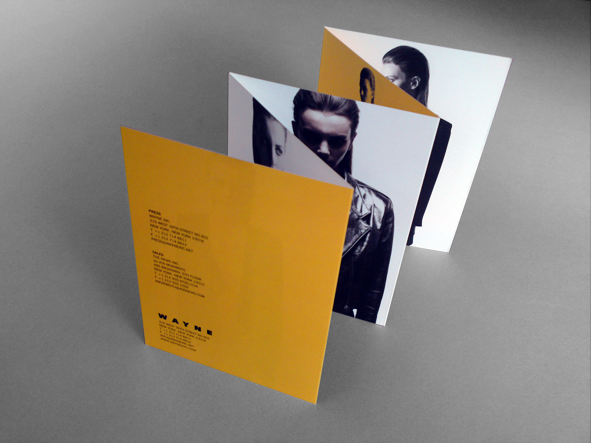 WAYNE Promotional Collateral